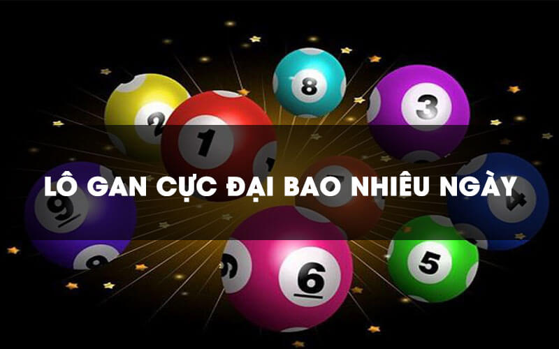 Kinh nghiệm nhận biết lô gan Bình Định hiệu quả