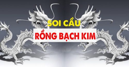 Soi cầu rồng bạch kim và những điều mà ít cược thủ biết đến