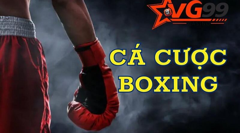 Cá cược boxing – Nghẹt thở cùng những trận đấu kịch tính