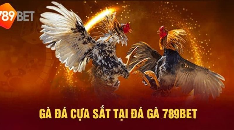 Đá Gà Cựa Sắt Tại 789Bet Có Gì Hay