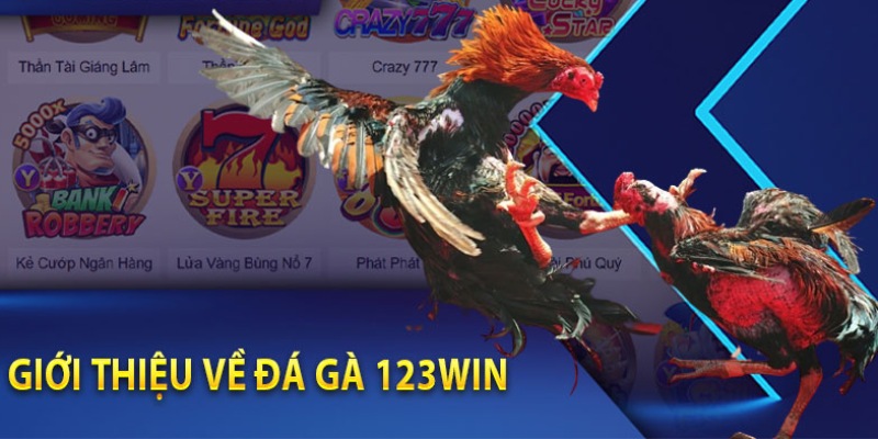 Sơ lược về bộ môn đá gà 123WIN