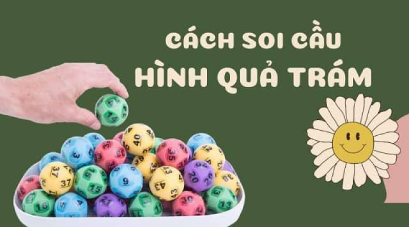 Lô Hình Quả Trám Là Gì? Hướng Dẫn Soi Cầu Quả Trám Chi Tiết