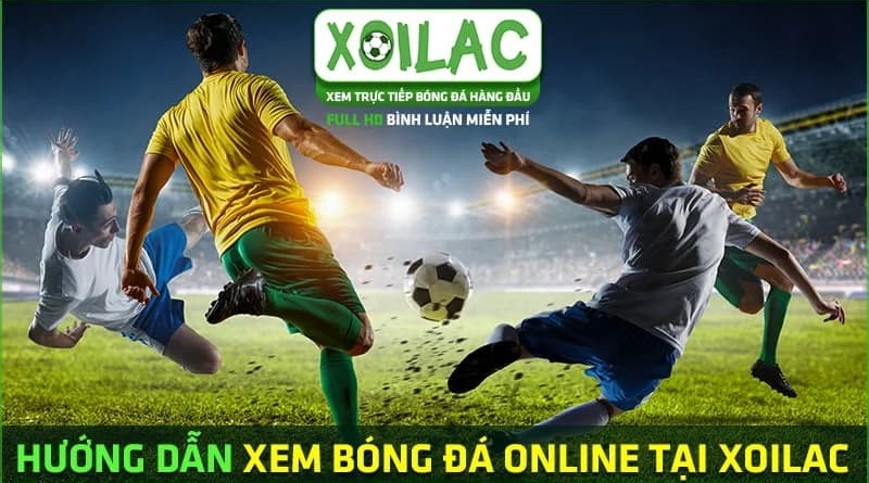 Bí mật thành công của người hâm mộ bóng đá: Xoi lac TV – xmx21.com